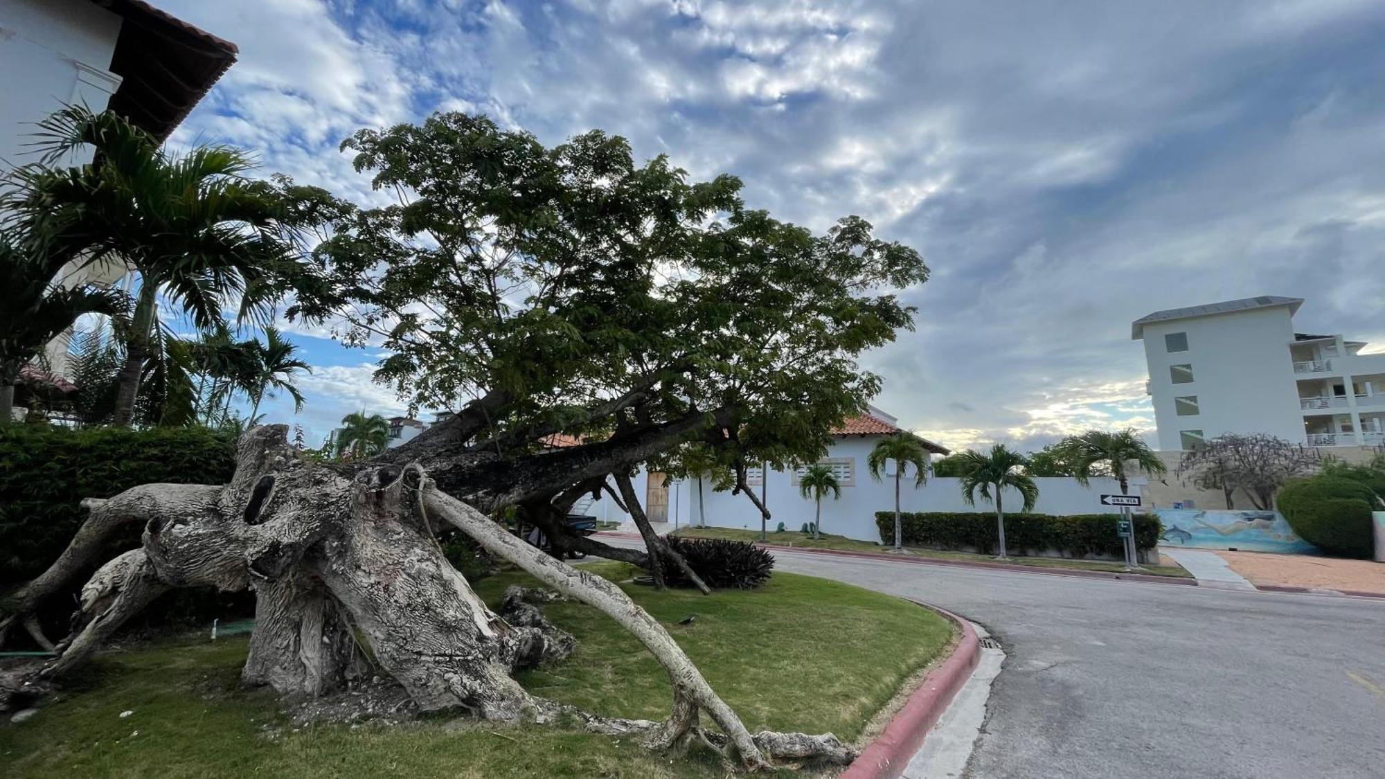 Tranquilidad En Cap Cana, Acogedor Apartamento Residencial Apartamento Punta Cana