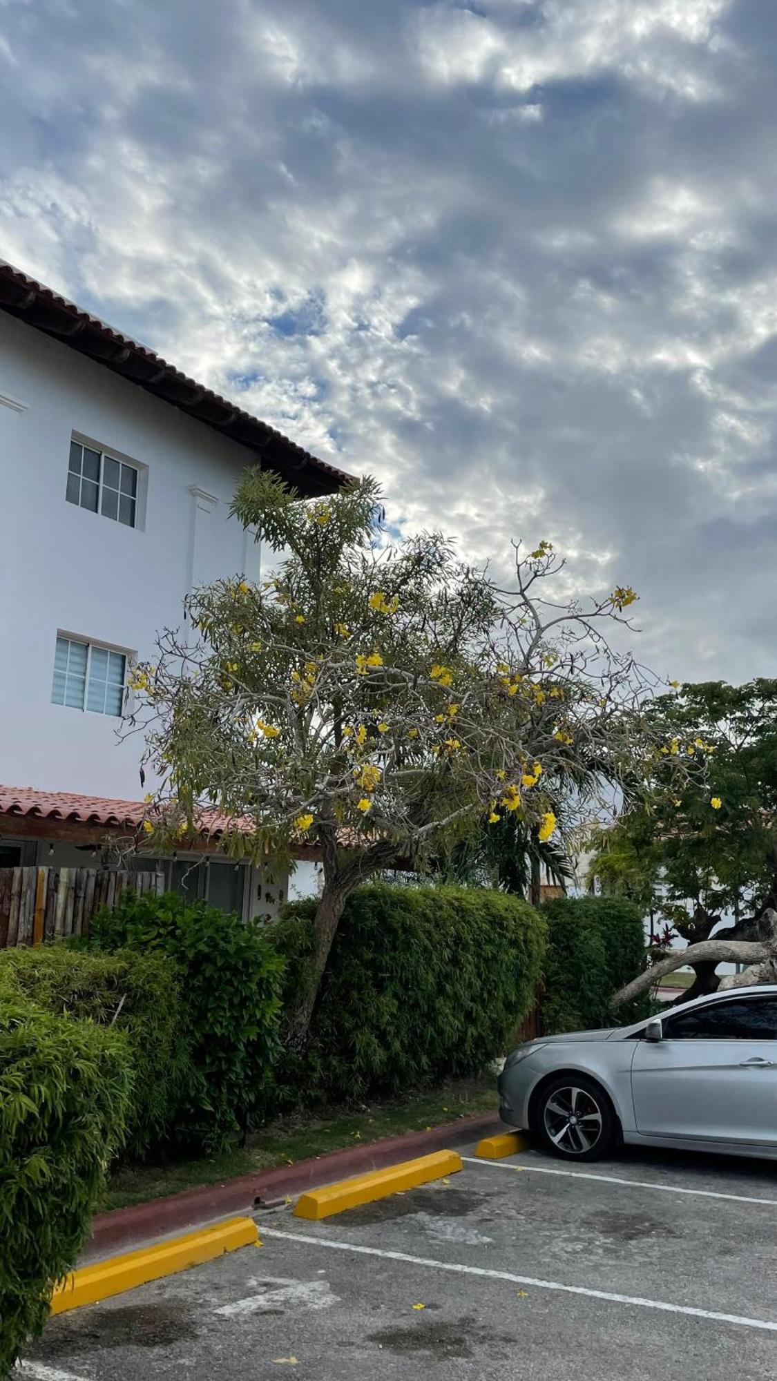 Tranquilidad En Cap Cana, Acogedor Apartamento Residencial * Punta Cana