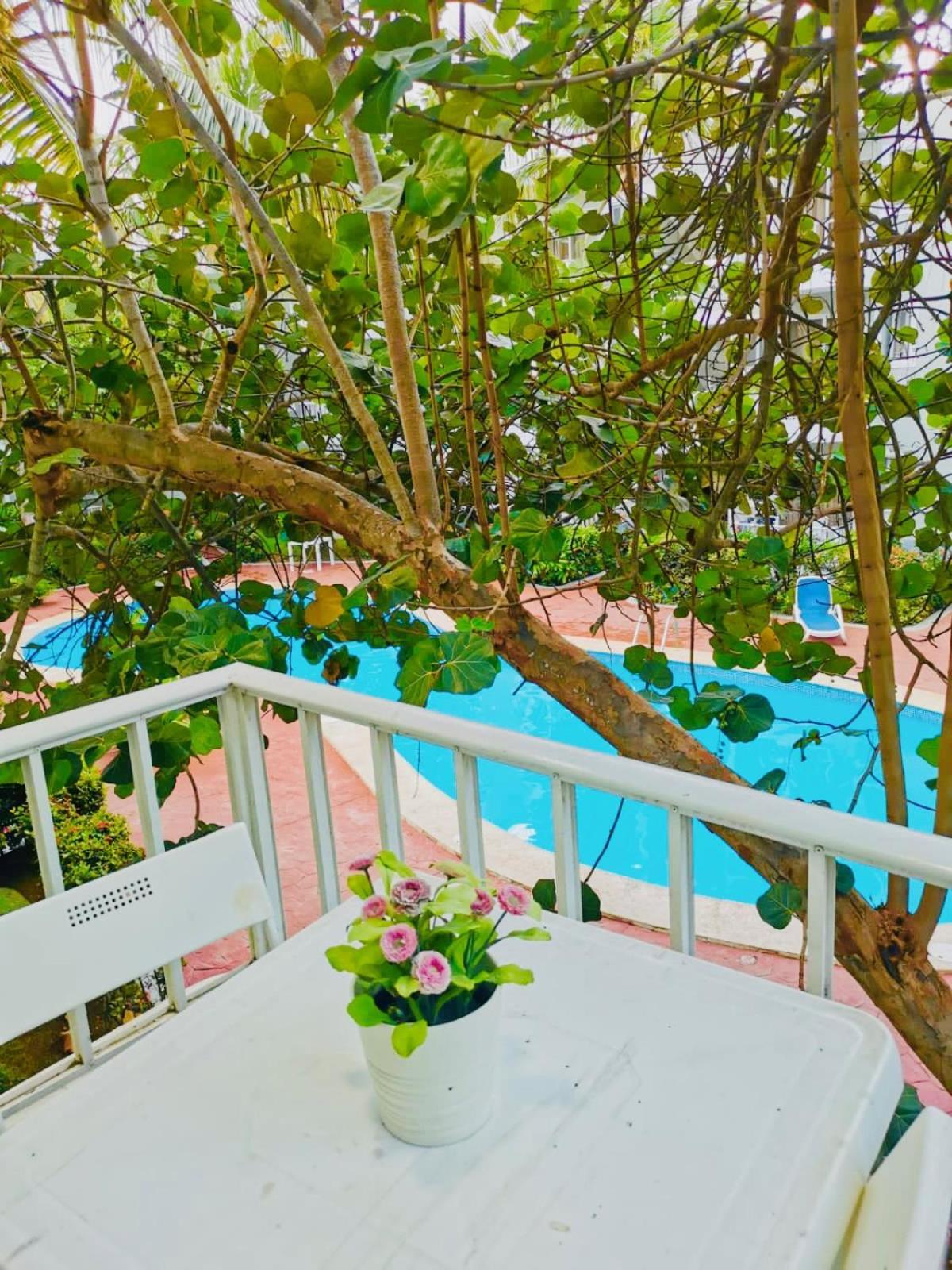Sol Caribe Luxury Beach Club And Spa Punta Cana