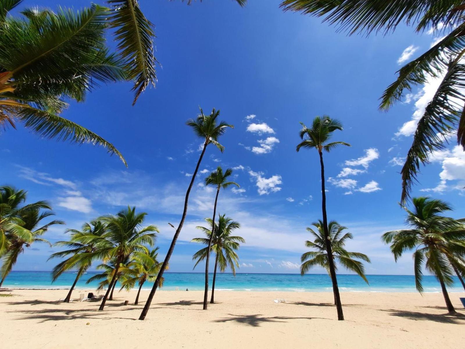 Palms 104 - 2-br App Mit Pool-blick & Shuttle Apartment *