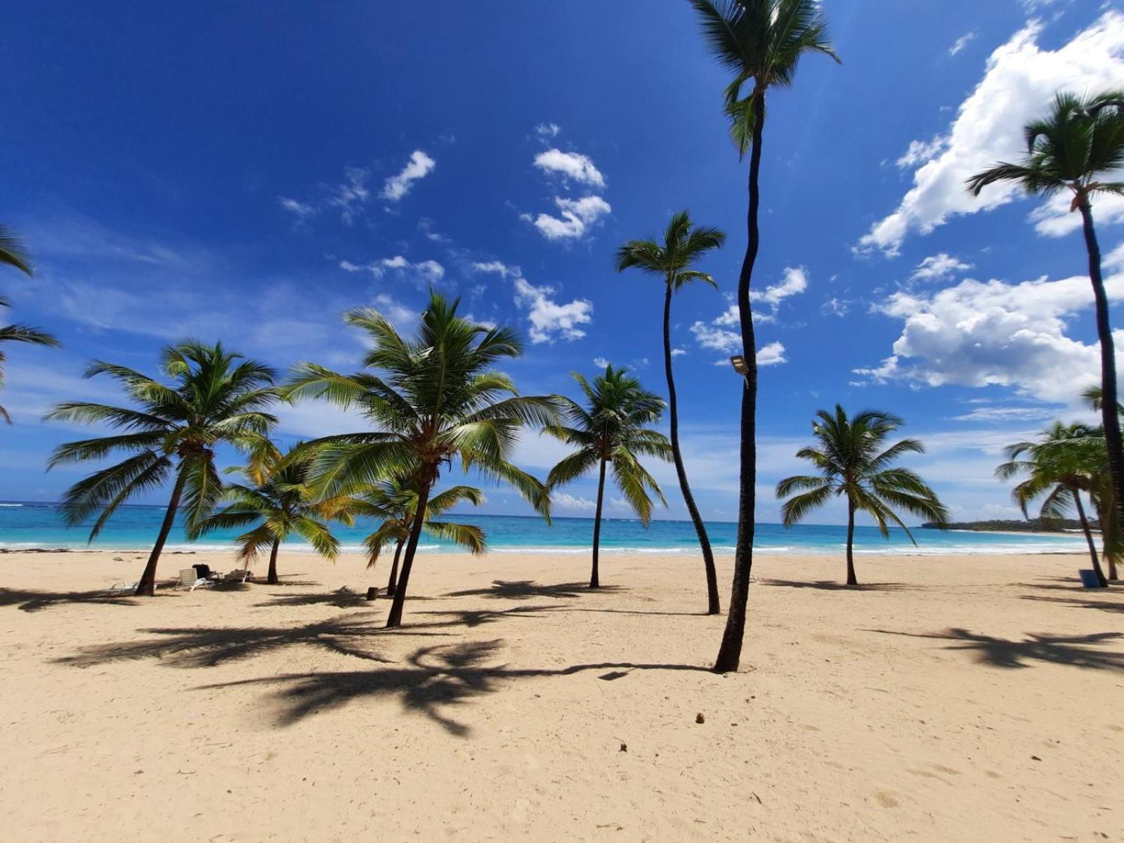 Apartment Palms 104 - 2-br App Mit Pool-blick & Shuttle *