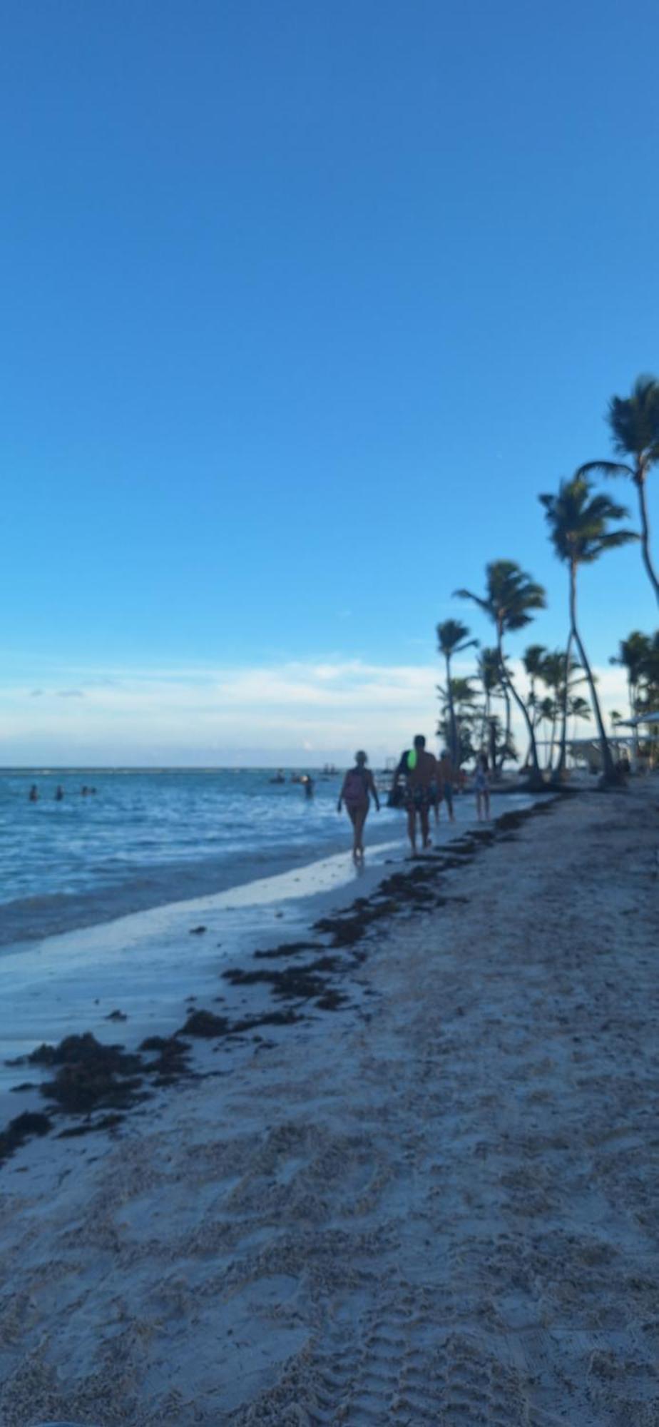 Apto Estudio En Punta Cana, Vista A La Pisicina * Punta Cana