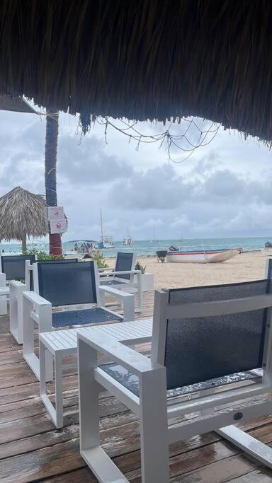 Amazing And Cozy Located In Downtown Of Apartment
