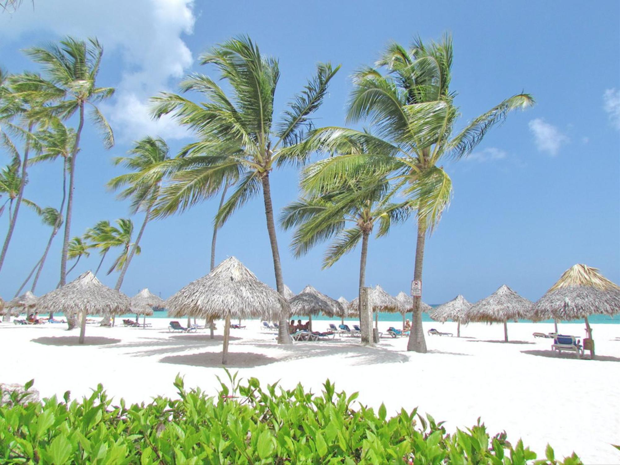 Coral Pool View - Playa Los Corales Apartment