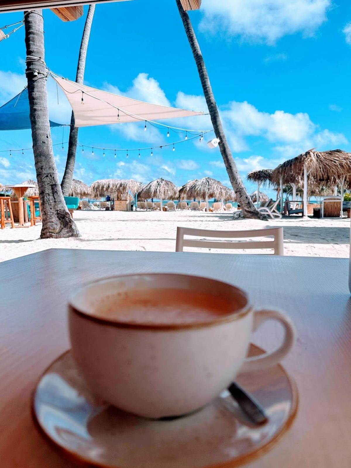 50 Steps To Private Poolside Rooftop Terrace Apartment Punta Cana