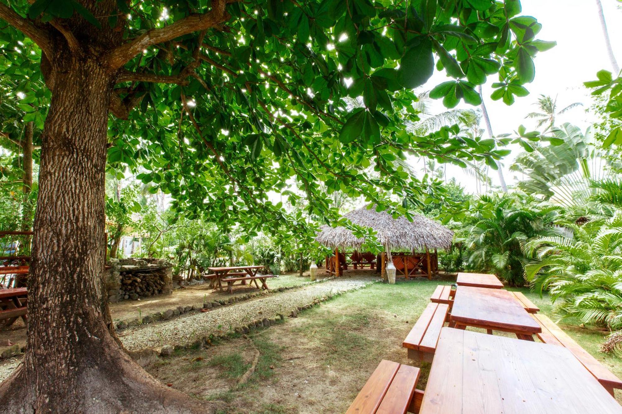 Aventura Los Corales Beach And Spa Hotel