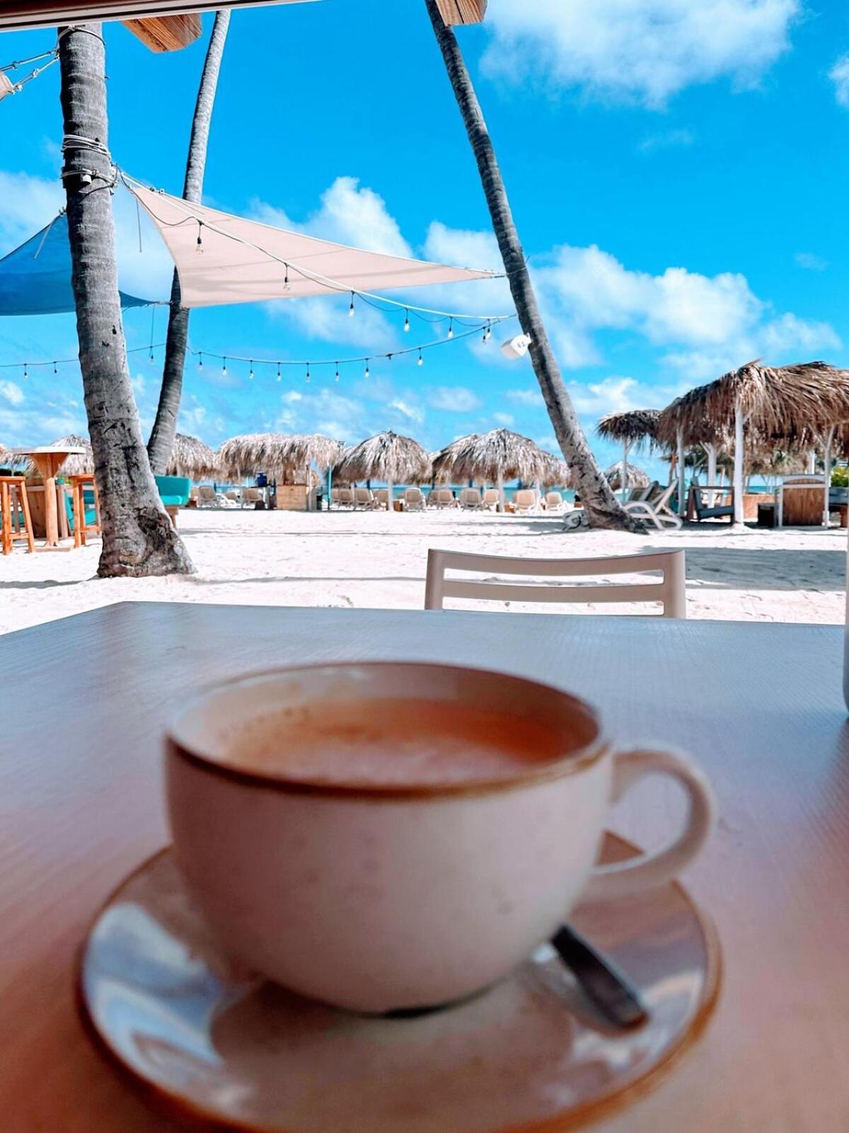 Rooftop, Pool View, Walk To Beach, Dining, Shops Apartamento Punta Cana