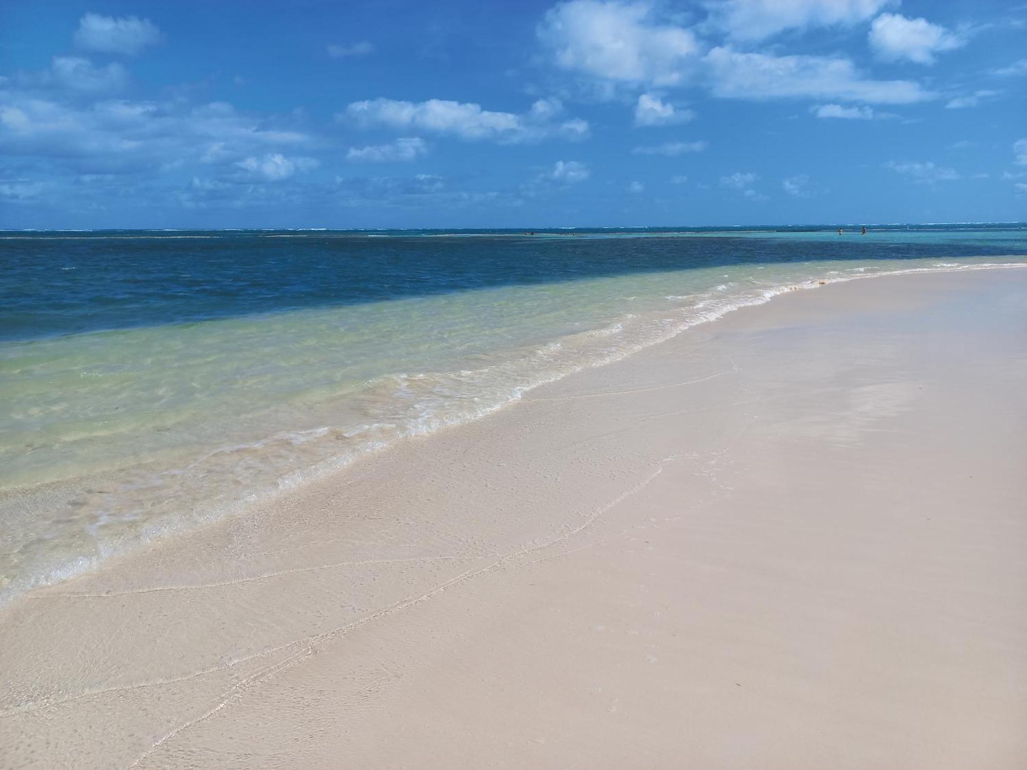 Apartment New Spacious & Bright 2br & 2ba, Pool & Shuttle, Wifi & Ac Gold Reef 209 Punta Cana