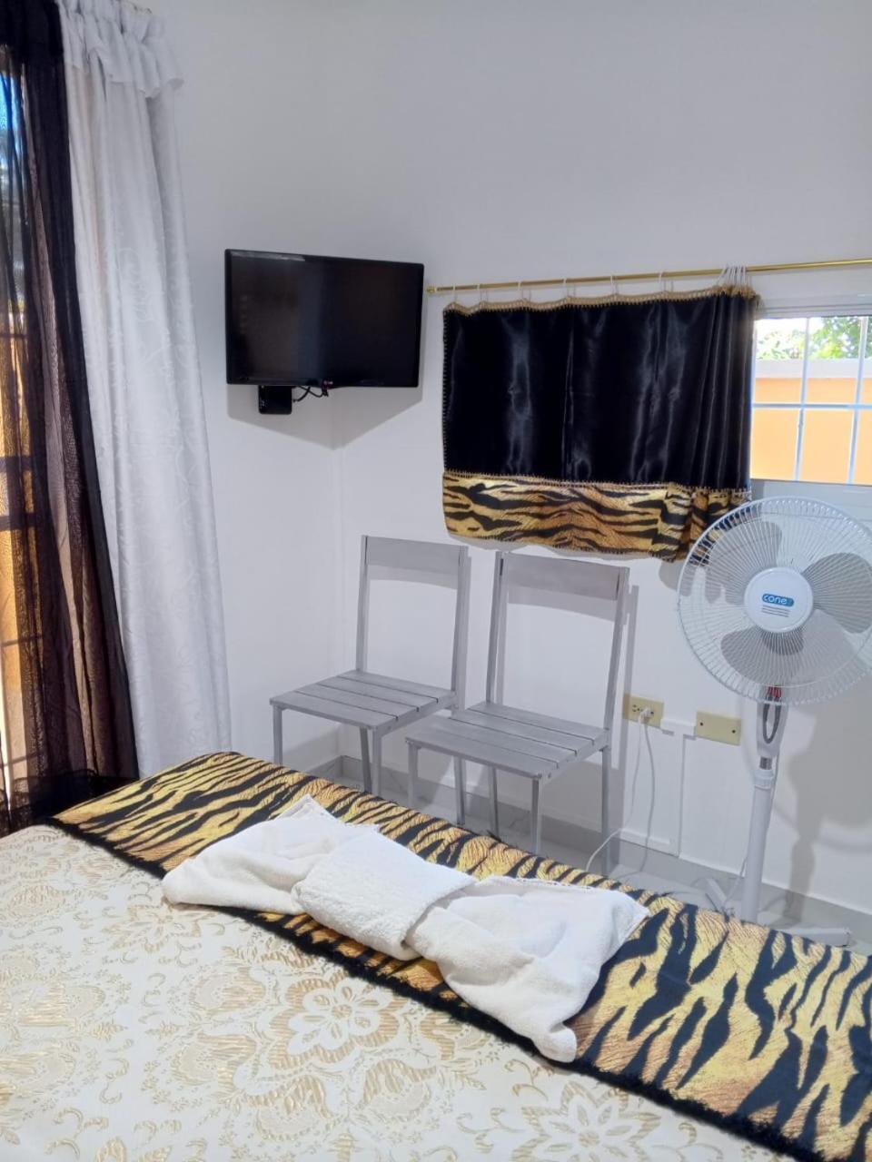 Ave Fenix Punta Cana