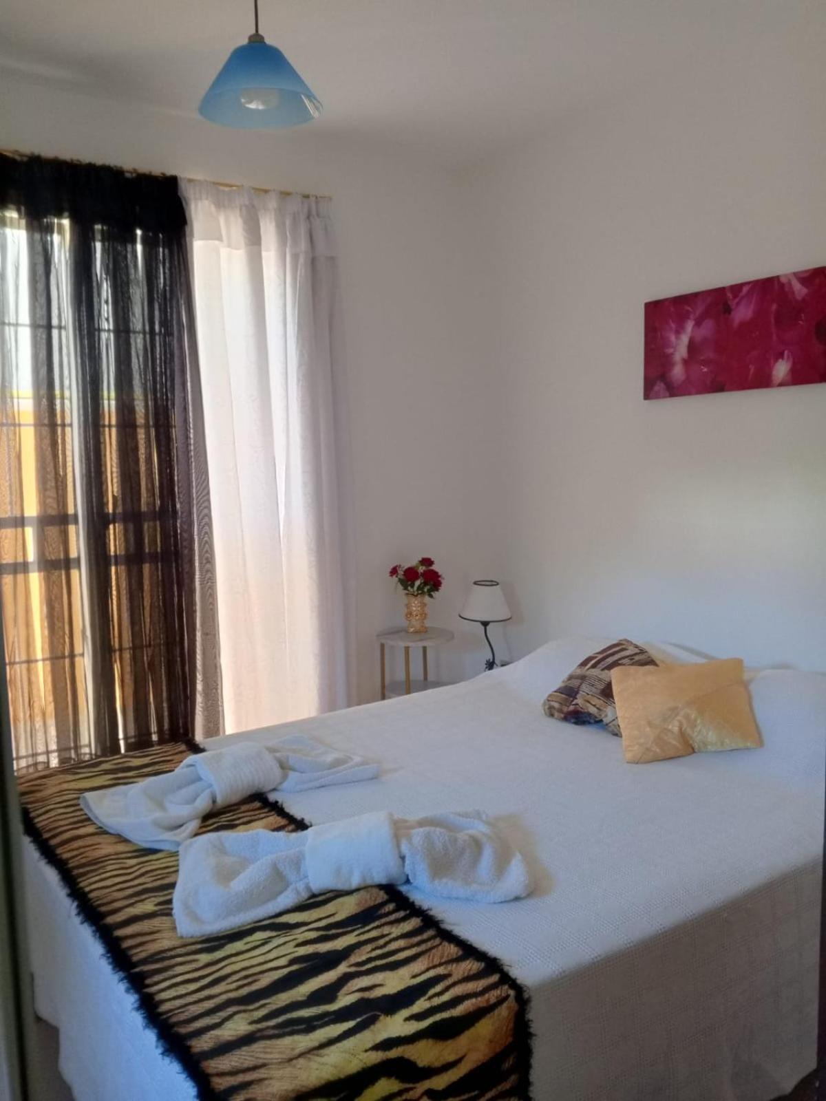 Ave Fenix Punta Cana