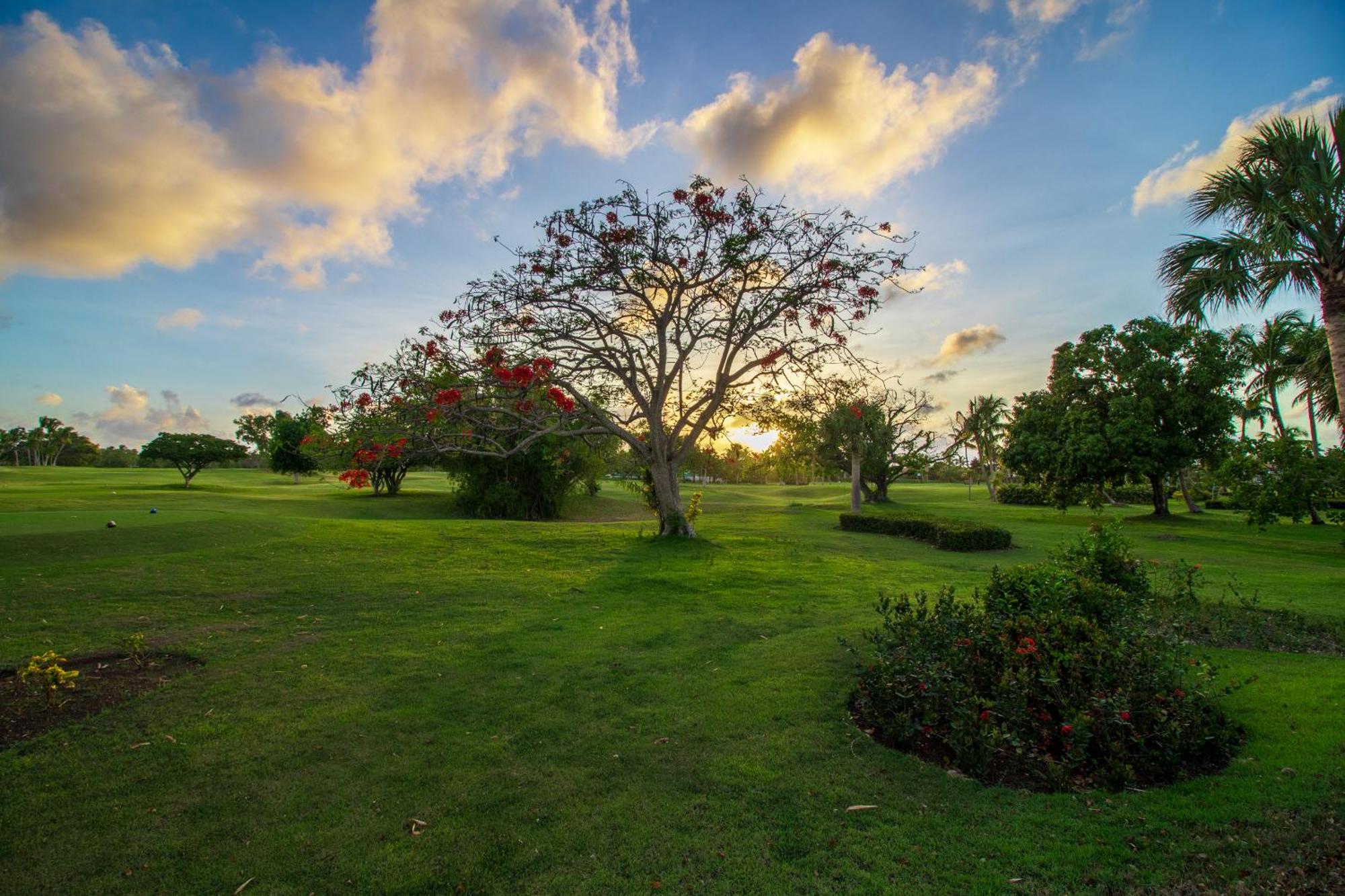Luxury In - Exclusive Waterfall With Private Pool, Bbq, Maid, Golf Villa Punta Cana