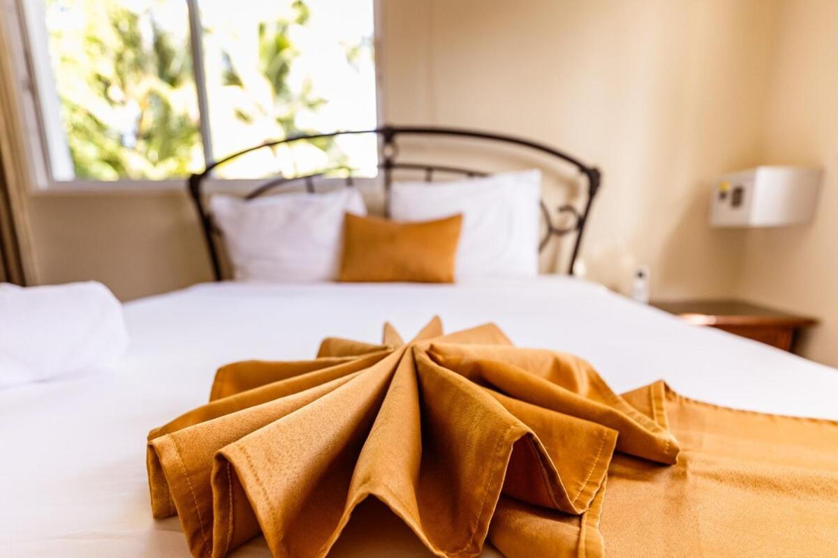 Rosas De Punta Cana