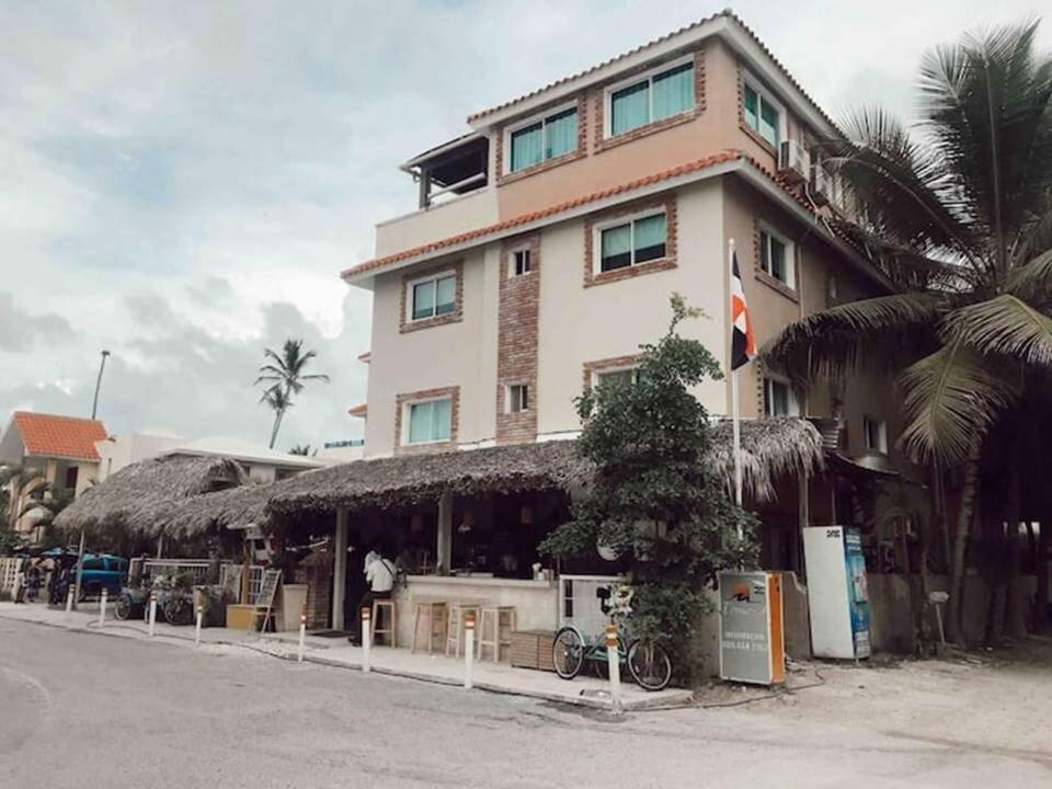 Rosas De Punta Cana