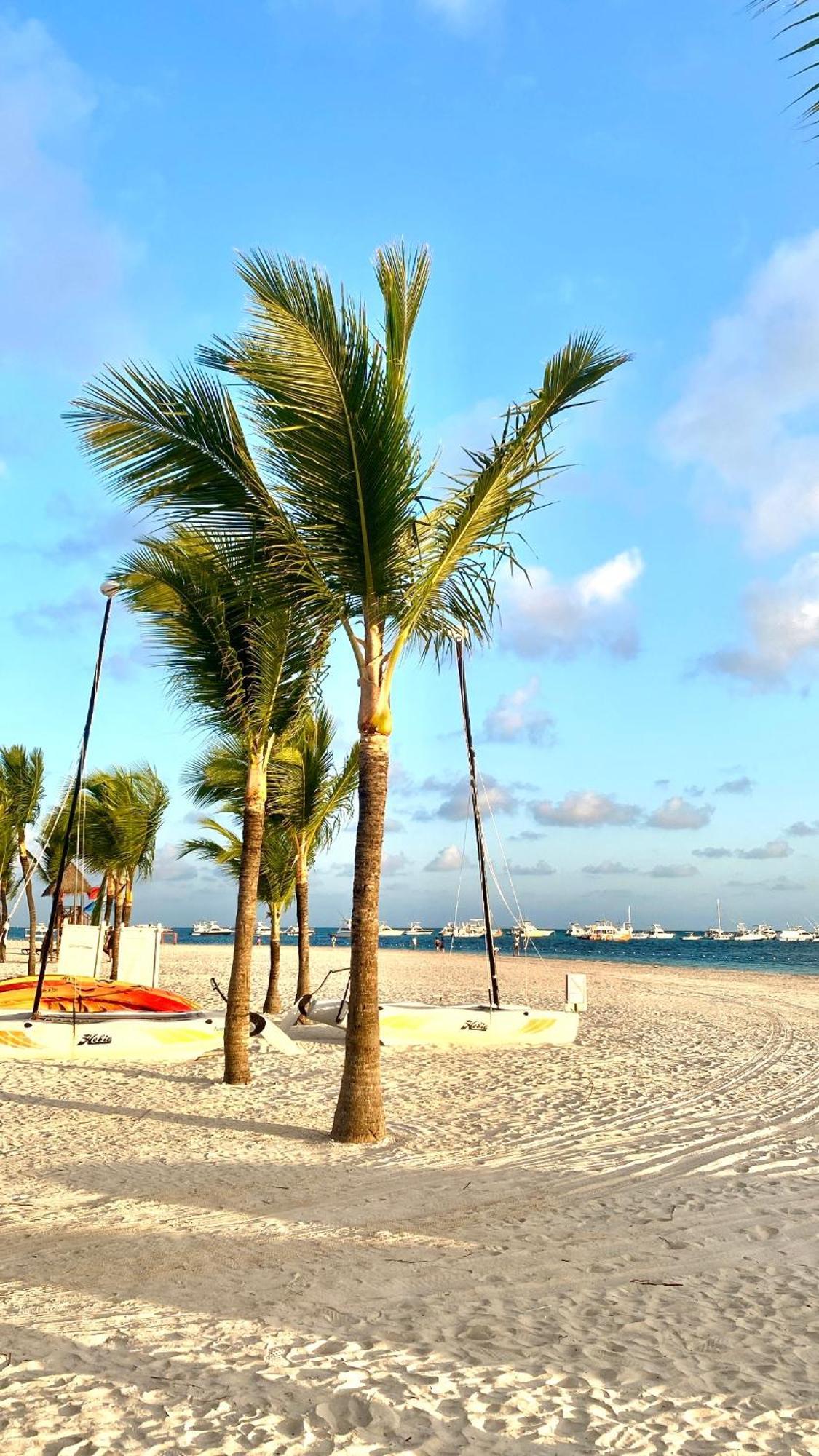Apartamento Paradise Close To The Pool Free Parking,wifi- *