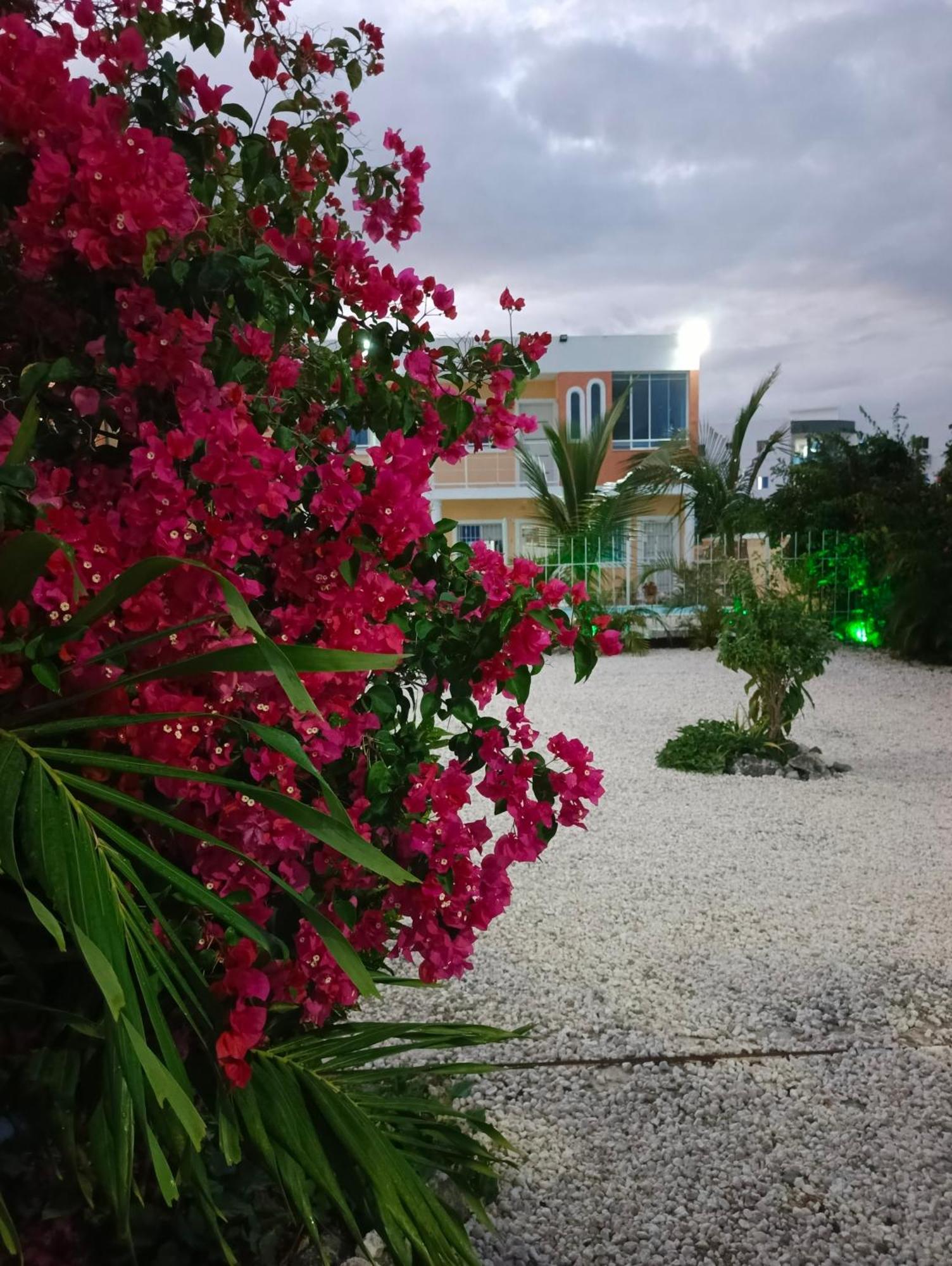 Apartamento Ave Fenix Punta Cana