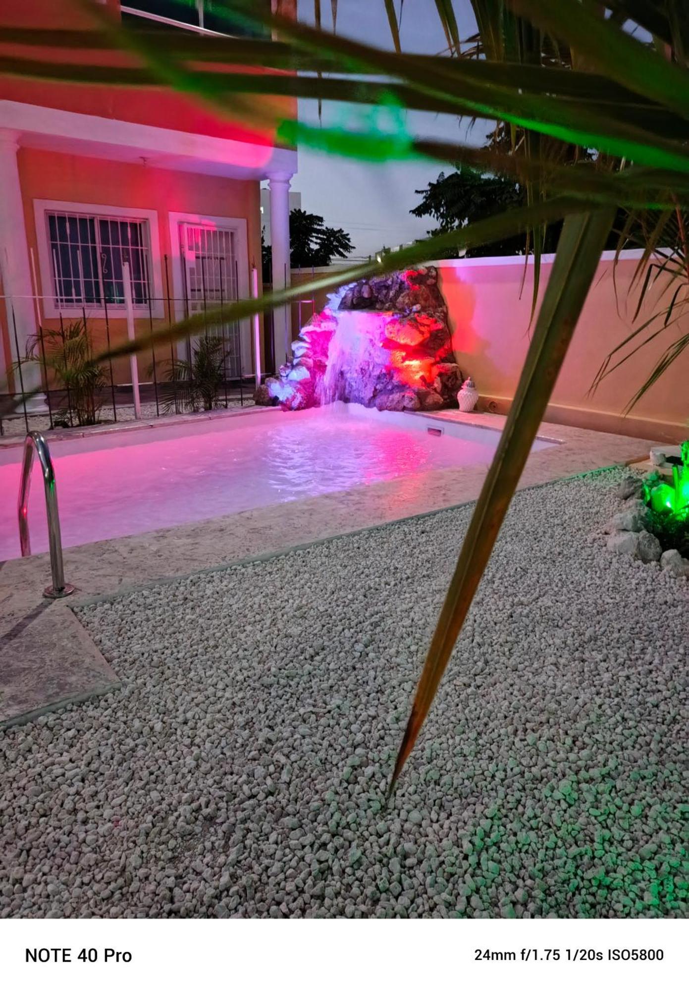 Ave Fenix * Punta Cana