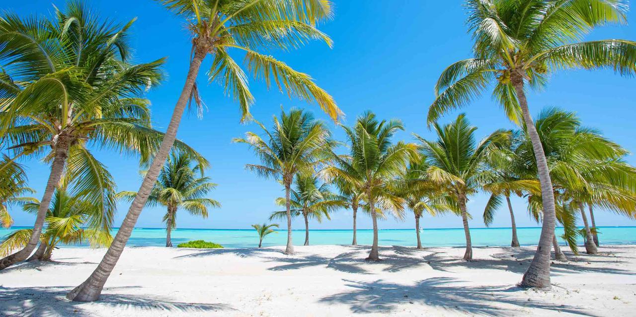 Best Adult Vacation In Apartment