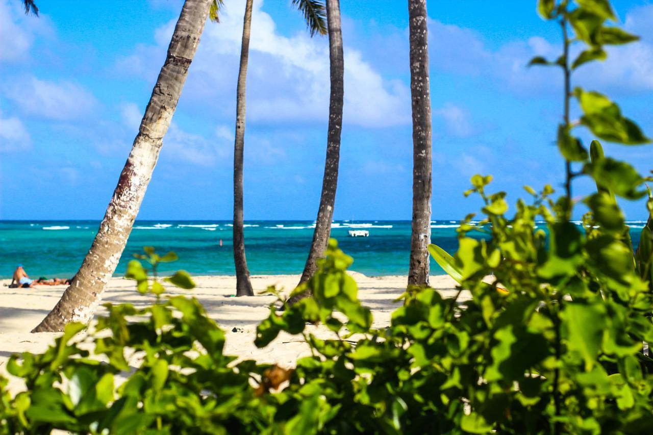 Secret Paradise 1 Near To The Beach Pousada Punta Cana