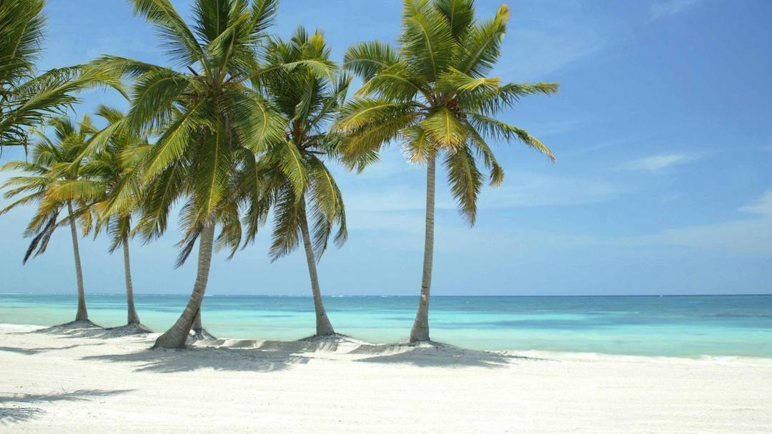 Fishing Luxury 5* Punta Cana