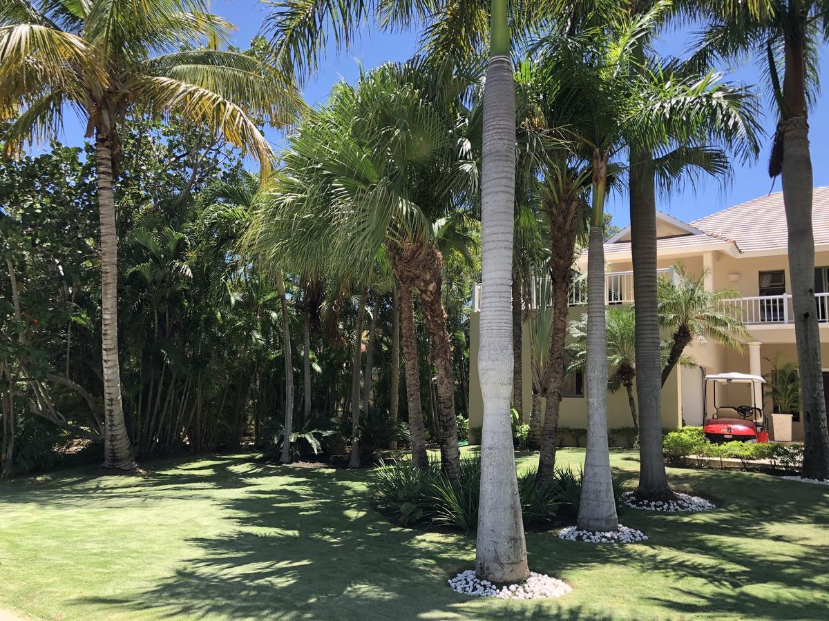 Chalet Calle Los Cocos