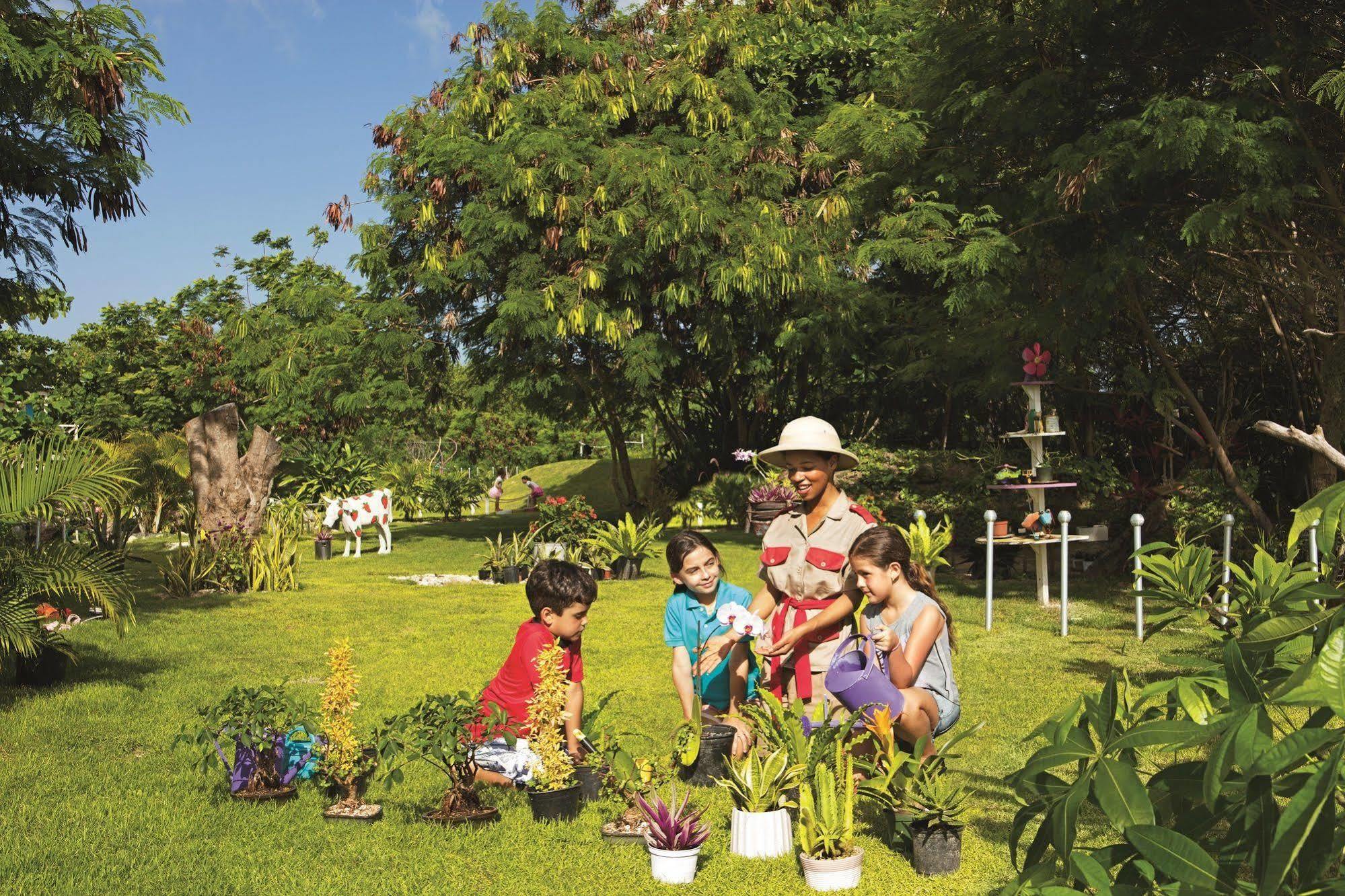 Resort Now Garden 4*