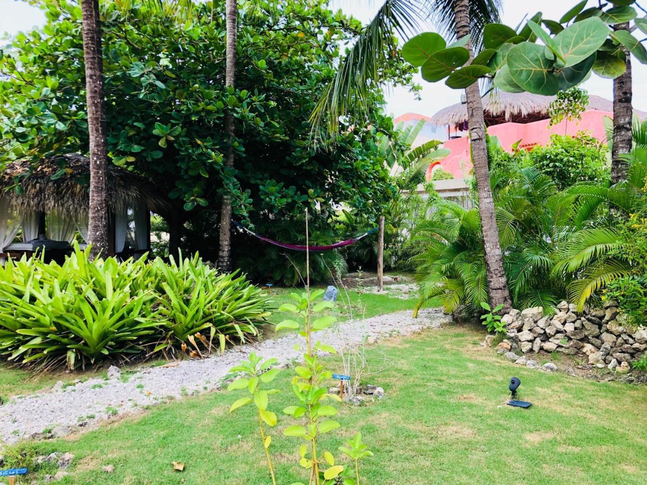 Las Terrazas Deluxe Pool Beach Club&spa 4* Punta Cana