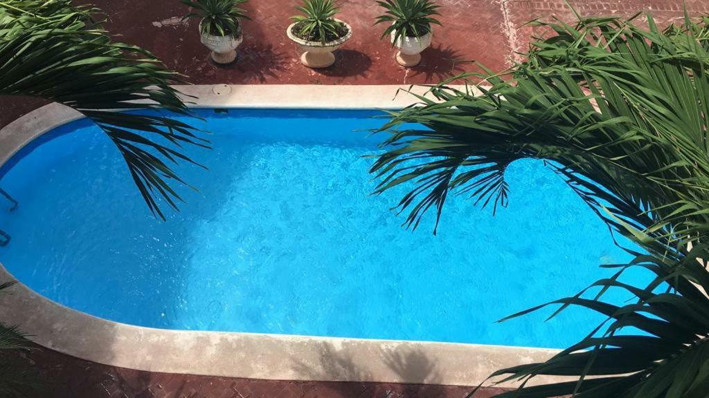 Gasthof Arcoiris Share Bavaro Punta Cana