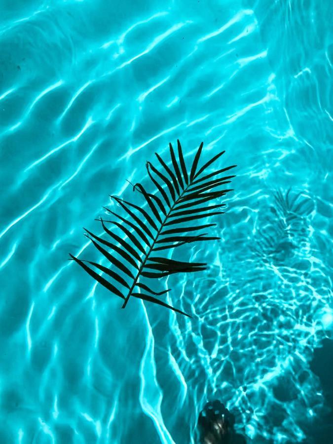 Ducassi Rooftop Pool & Beach Club 5*