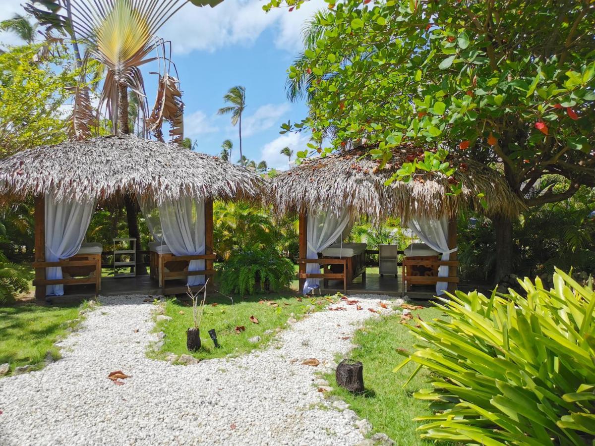 Los Corales Beach & - Best Price For Long Term Vacation 5* Punta Cana