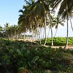 Relax @ Beach, Bibijagua