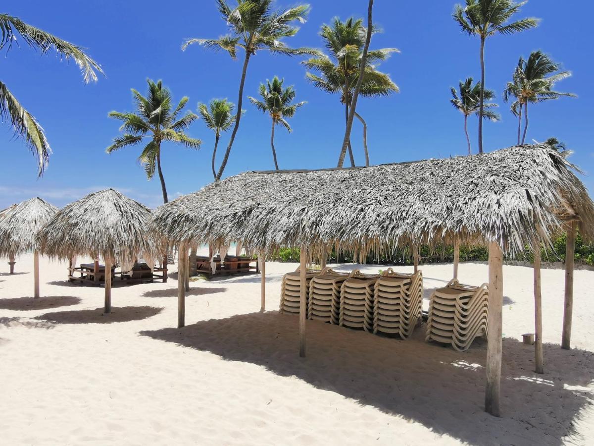 Beach Studio 4 People - Bbq, Wifi, Beach Amenities, Pickup From Airport, Kitchenette - Playa Los Corales Apartment *