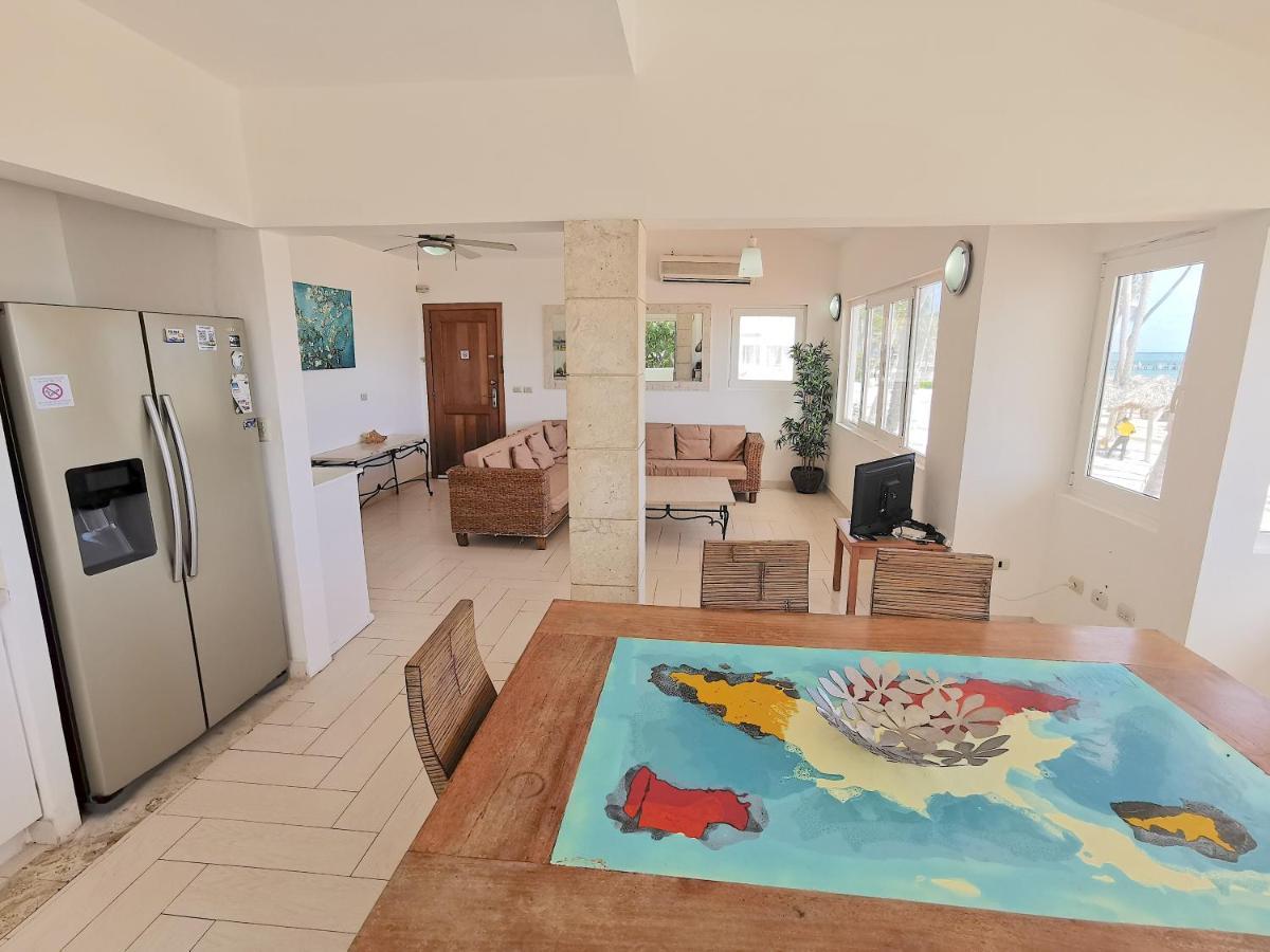 Ocean Front 10 Guests Wifi Bbq Bavaro Villa