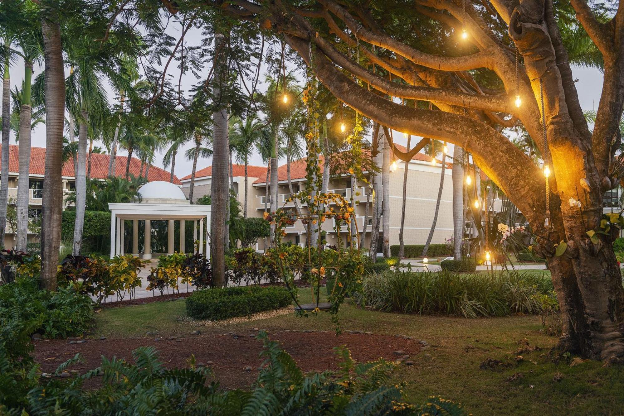Resort Dreams Palm 5*