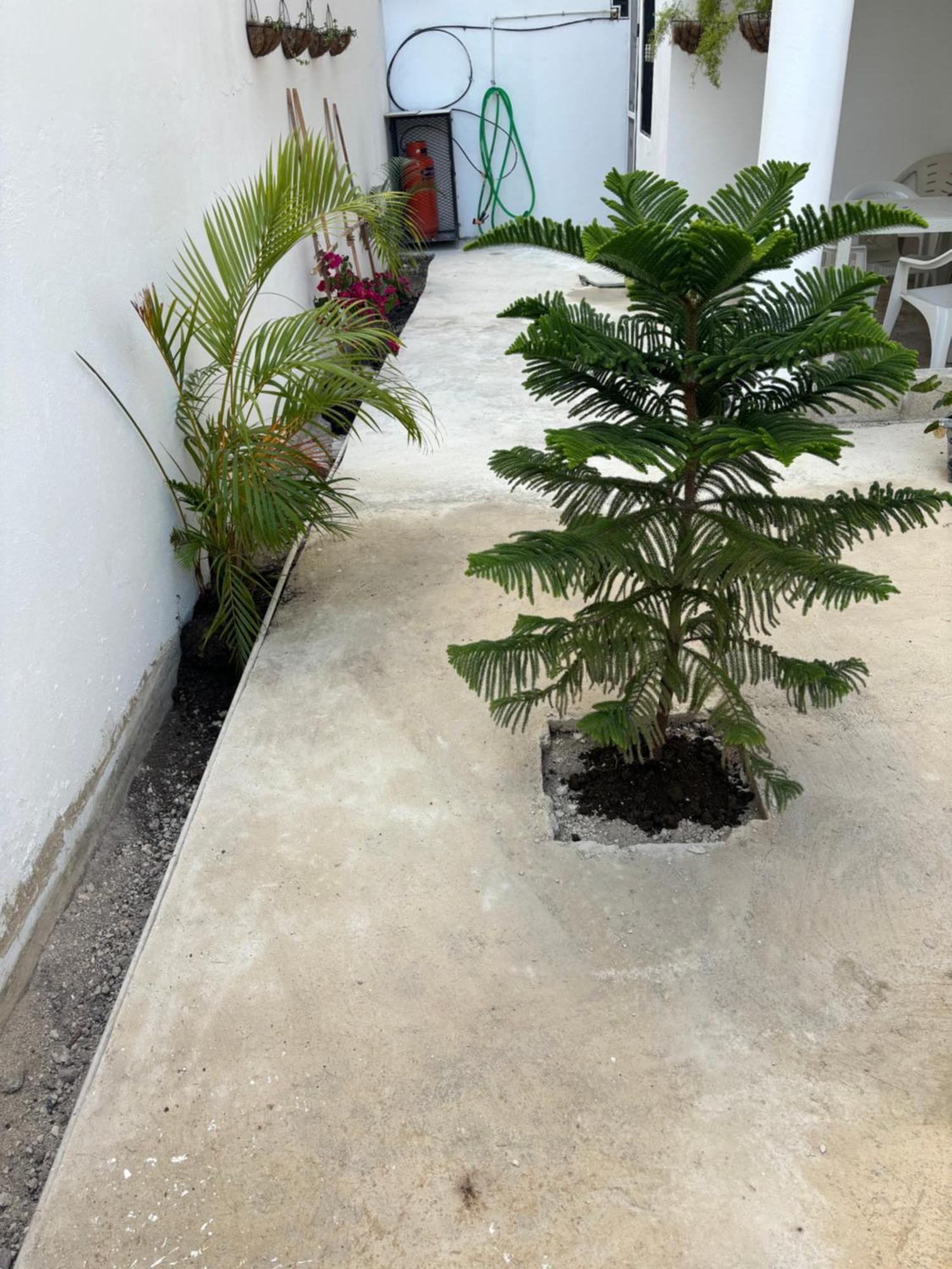 Residencial Varadero