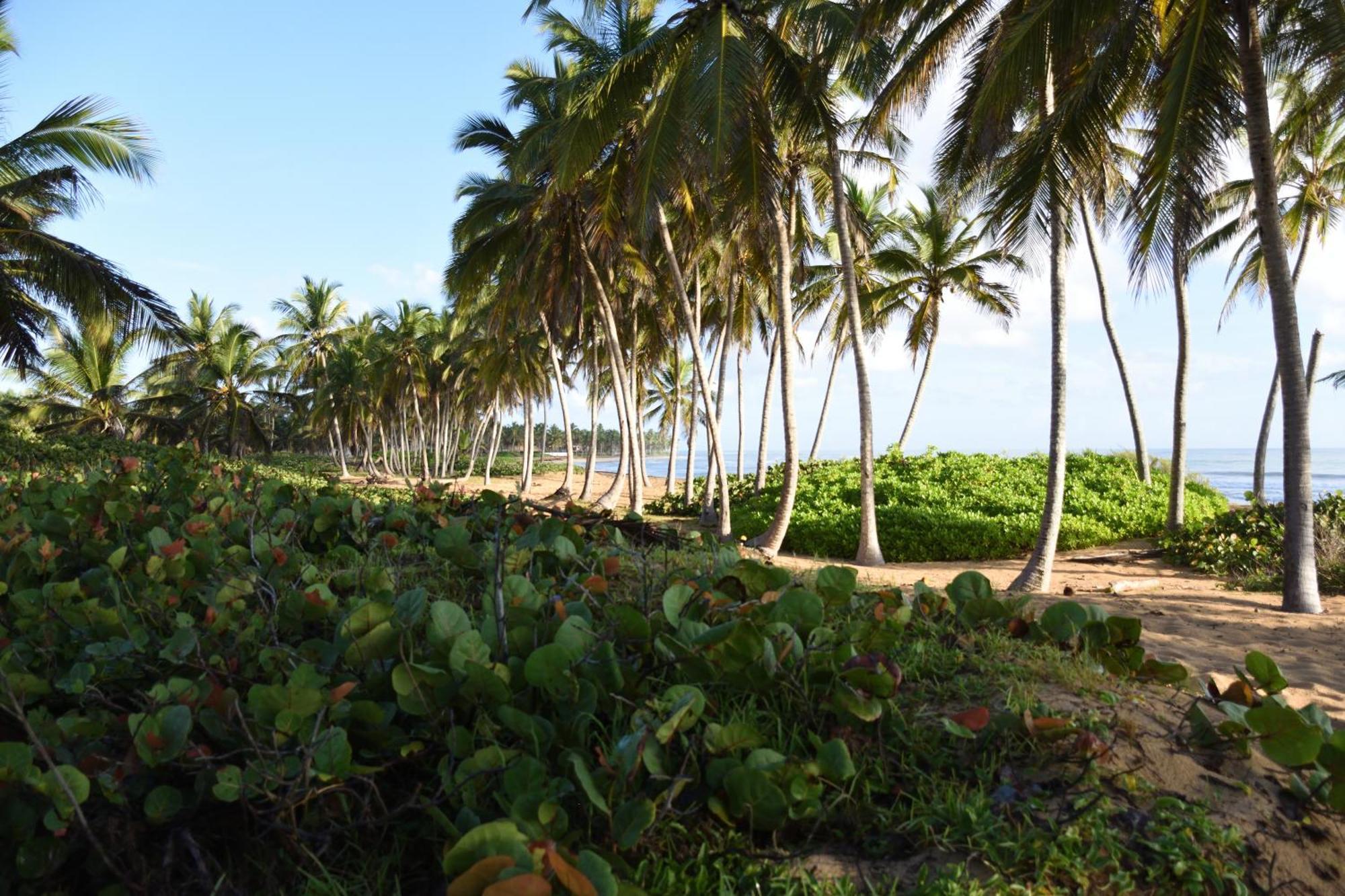 Relax @ Beach, Bibijagua Punta Cana