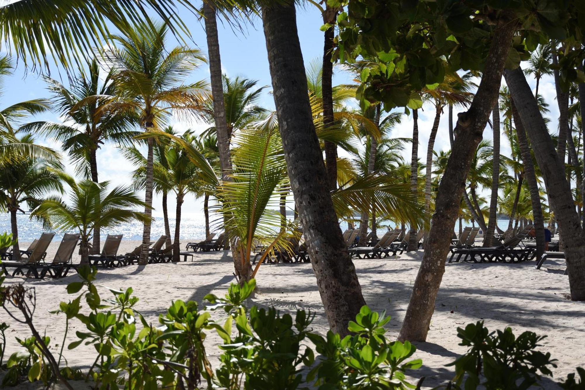 Relax @ Beach, Bibijagua