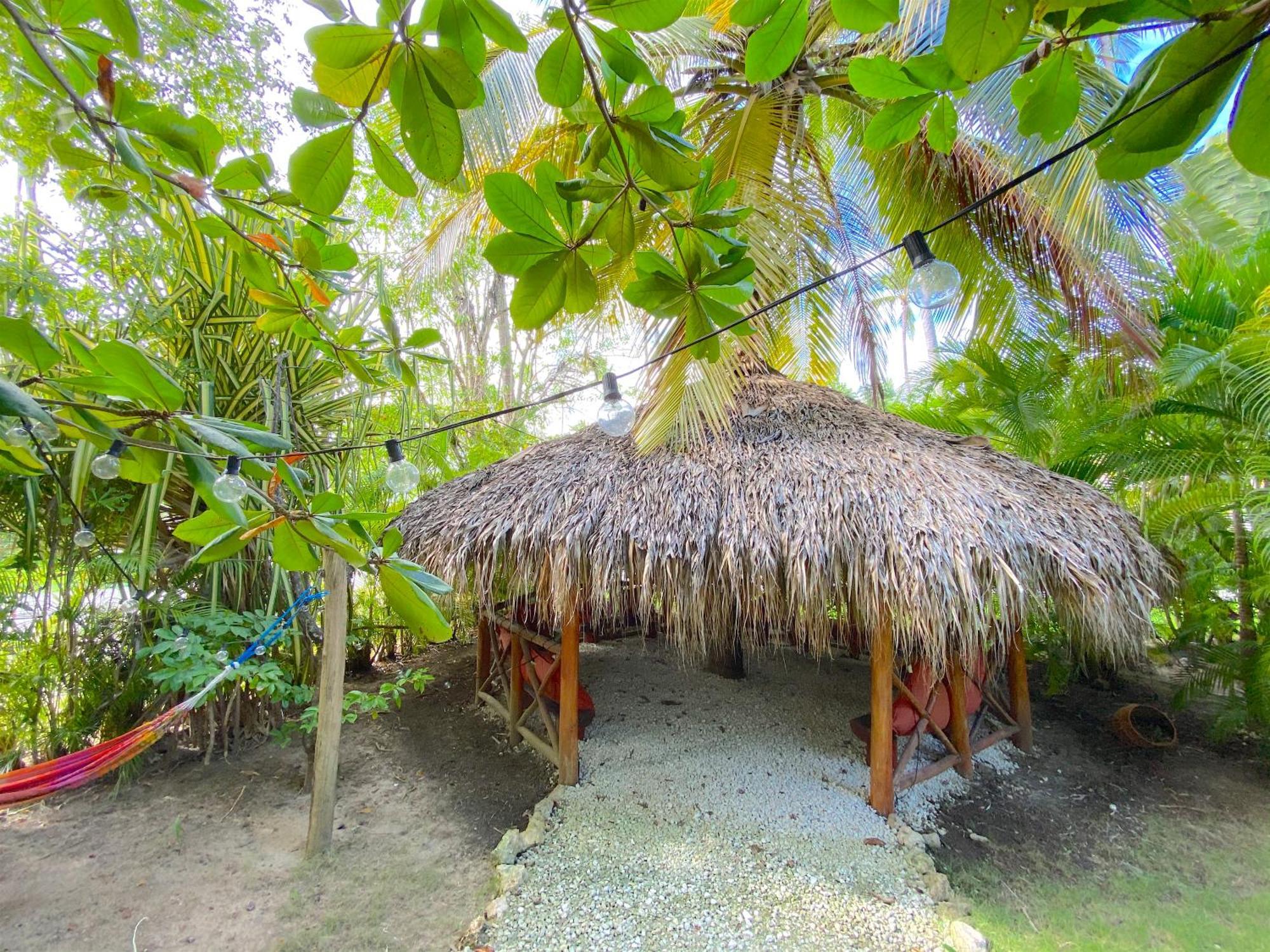 Deluxe Bavaro Beach & Spa - Best Price For Long Term Vacation Hotel