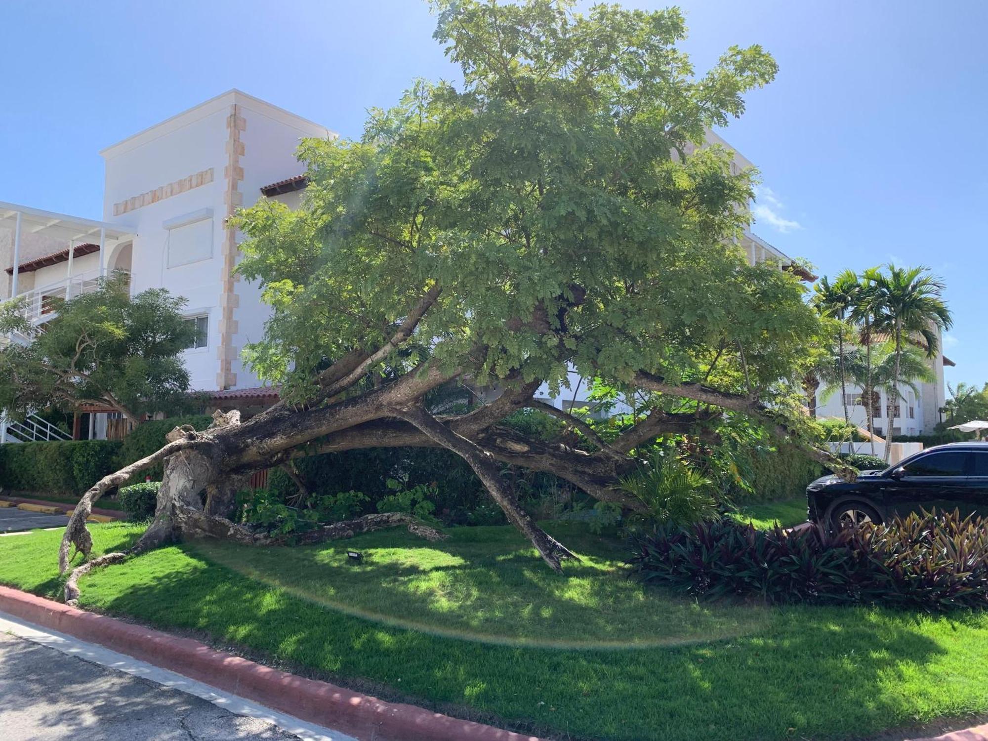Tranquilidad En Cap Cana, Acogedor Apartamento Residencial * Punta Cana