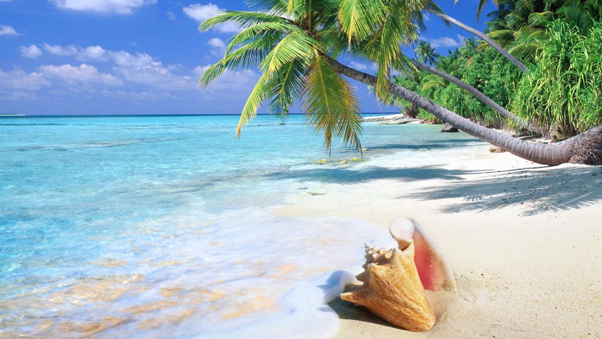 Coral Private Beach And Spa Apartment *