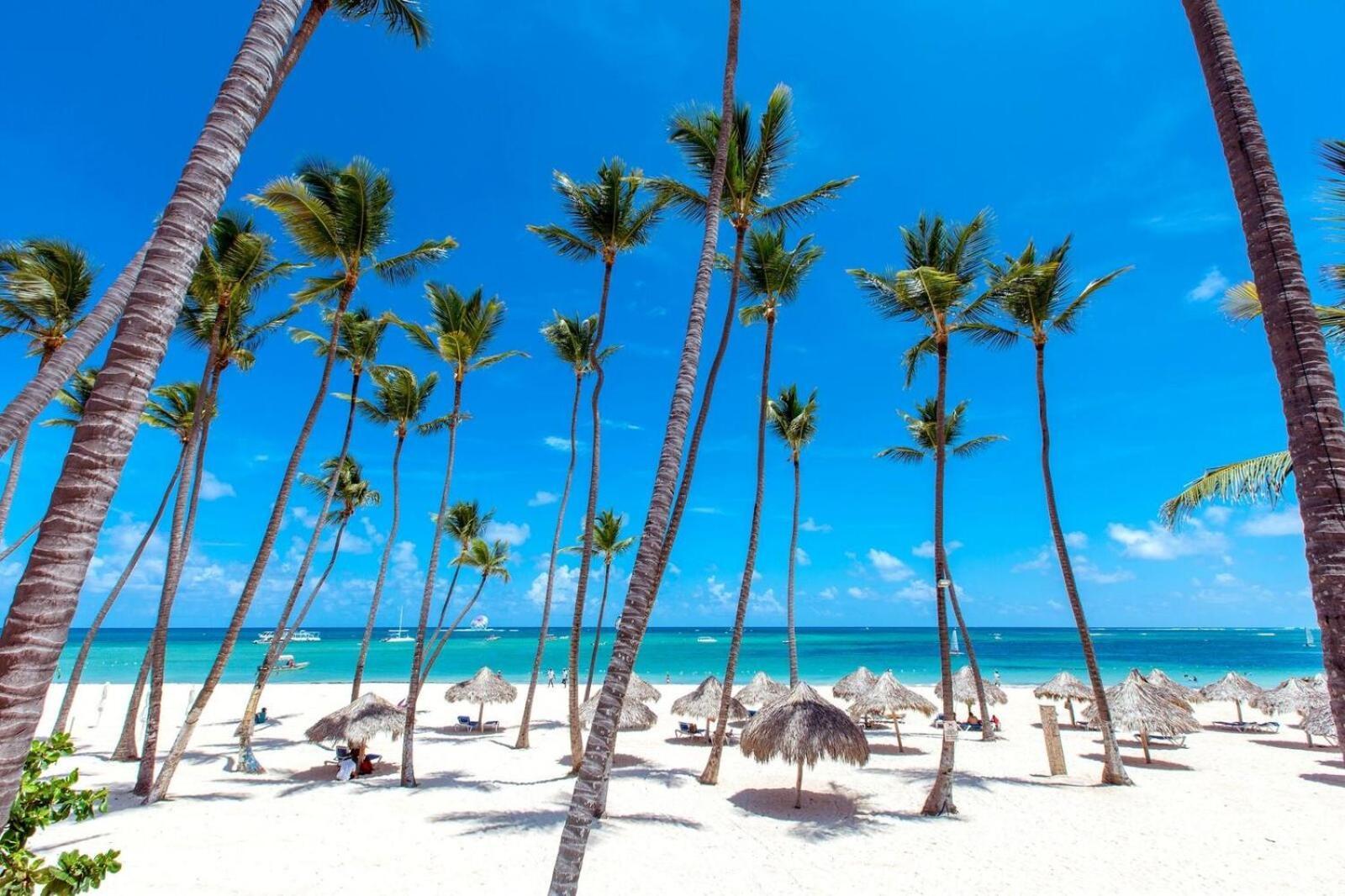 Dream Island & Ocean View Pool Playa Corales Aparthotel