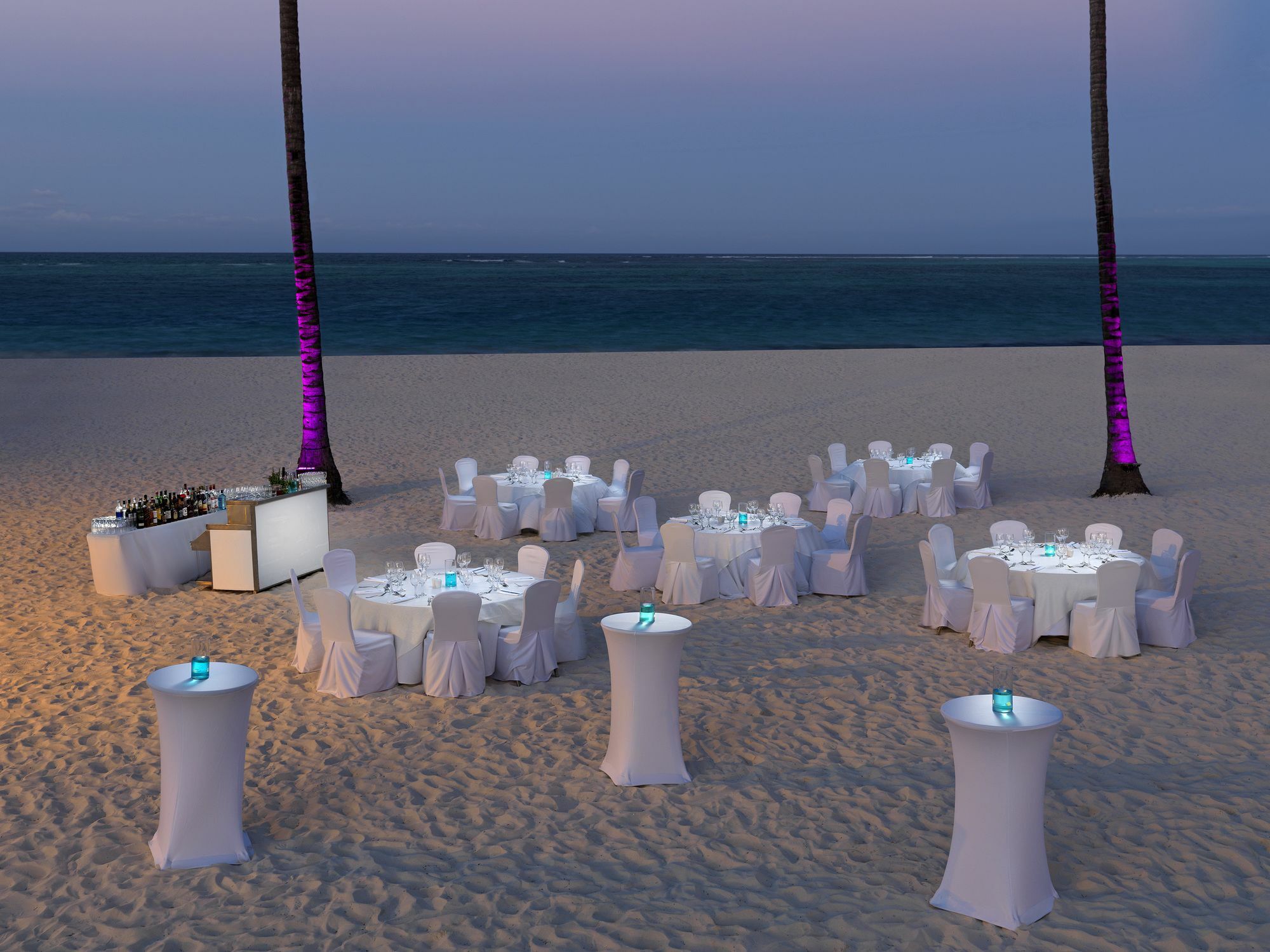 Royal Service At Paradisus Palma Real (adults Only) 5*