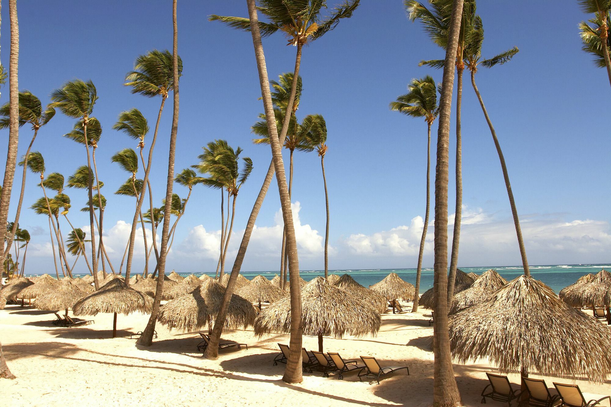 Hotel Royal Service At Paradisus Palma Real (adults Only) 5*