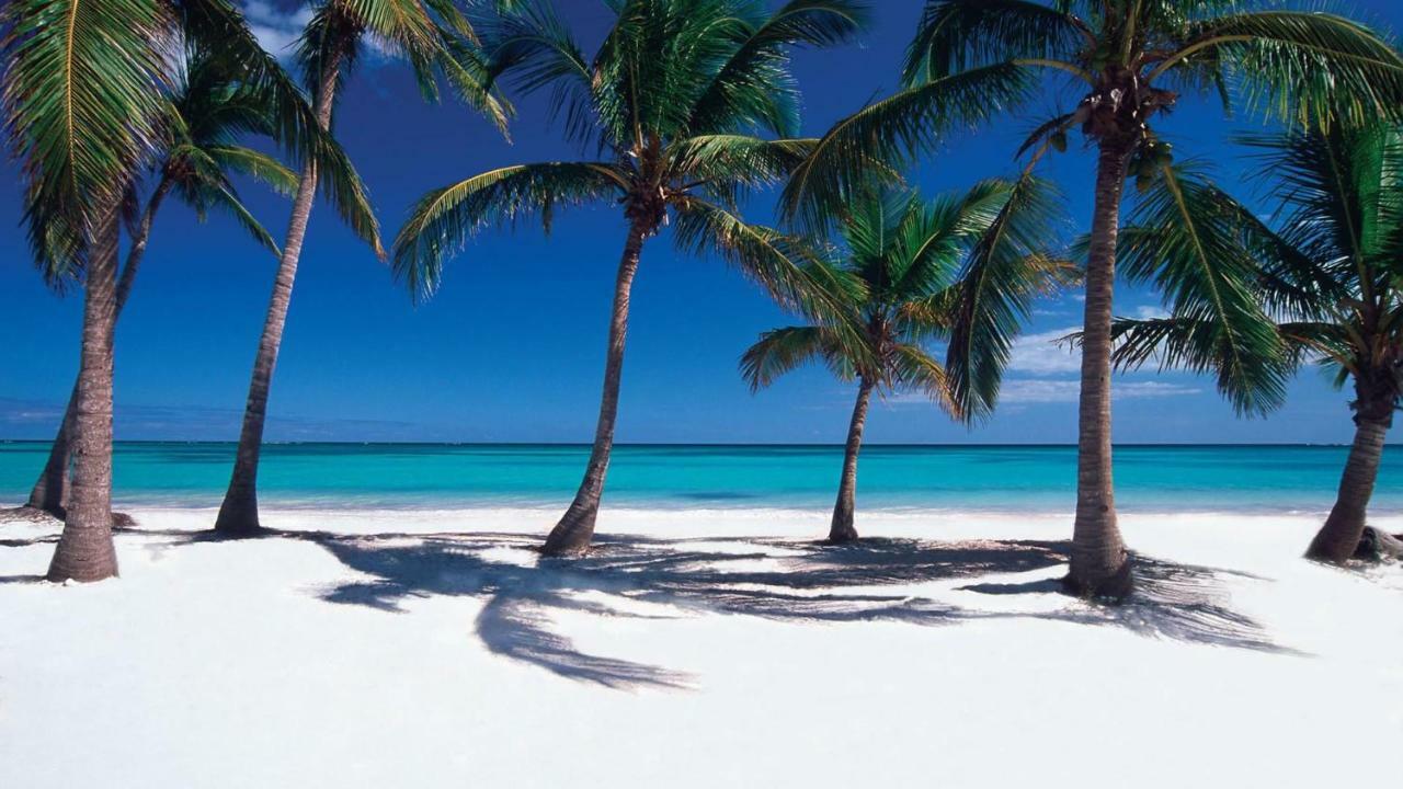 Apartamento Cap Cana Cozy Apt Close To Beach & Shopping Mall *