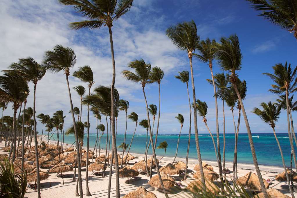 Royal Service At Paradisus Palma Real (adults Only) Hotel Punta Cana