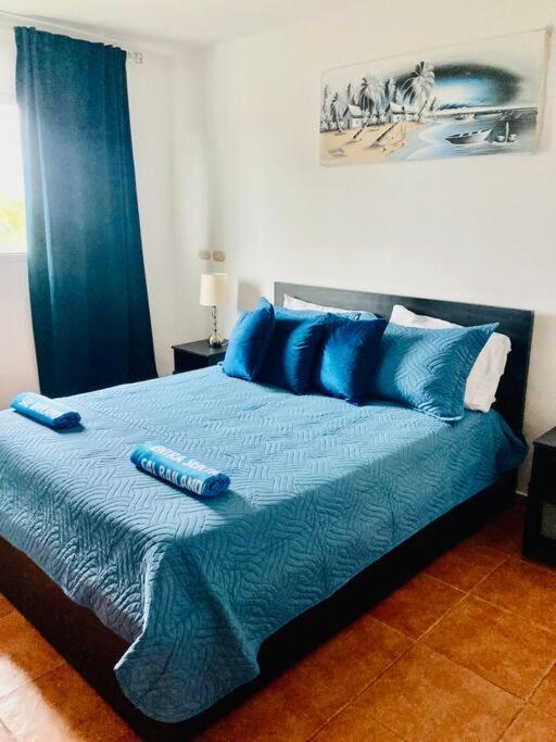 Life, The Place You've Been Looking For. Apartment