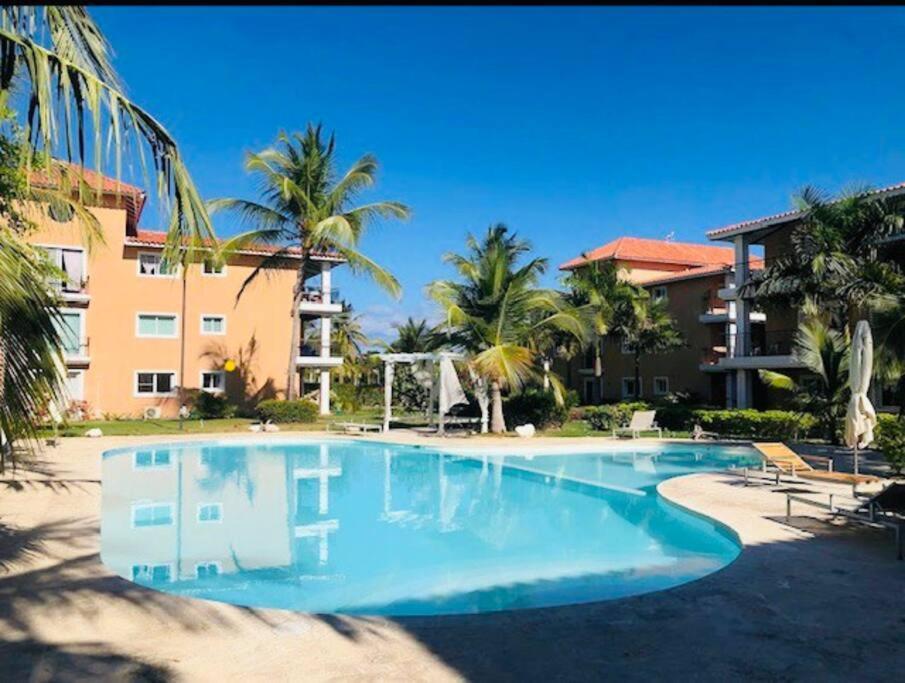 Apartment Life, The Place You've Been Looking For. *