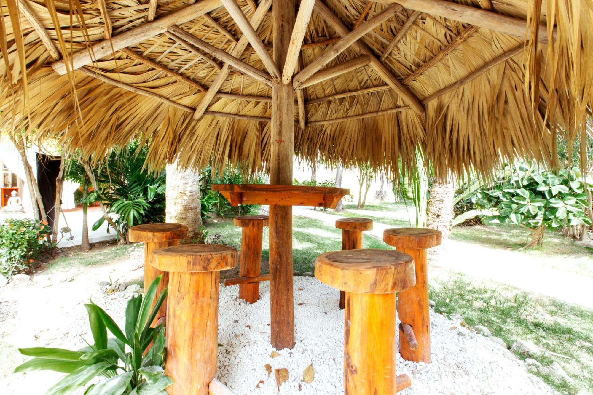 Ducassi Suites Rooftop Pool - Club And Punta Cana