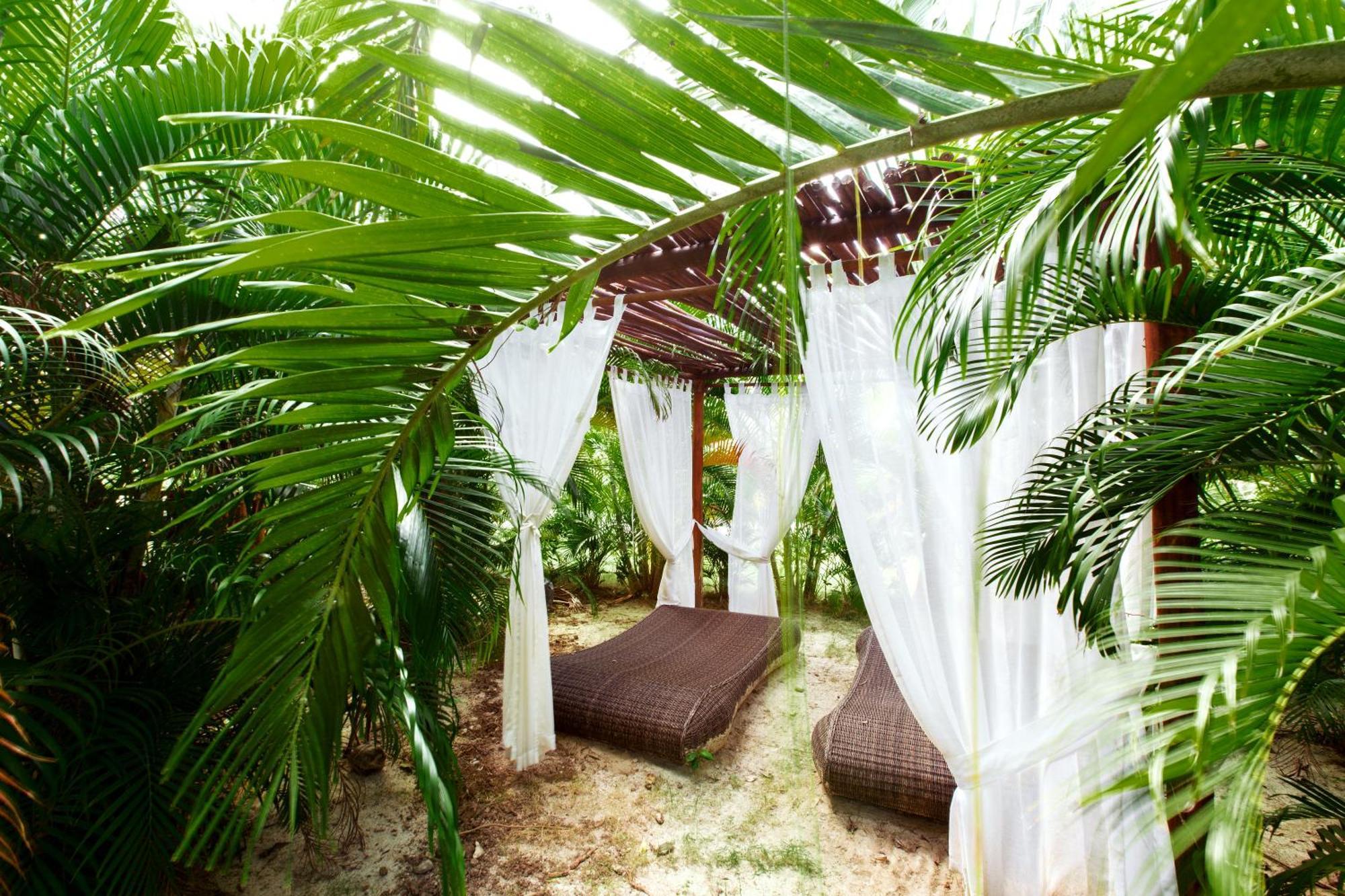 Tropical Deluxe