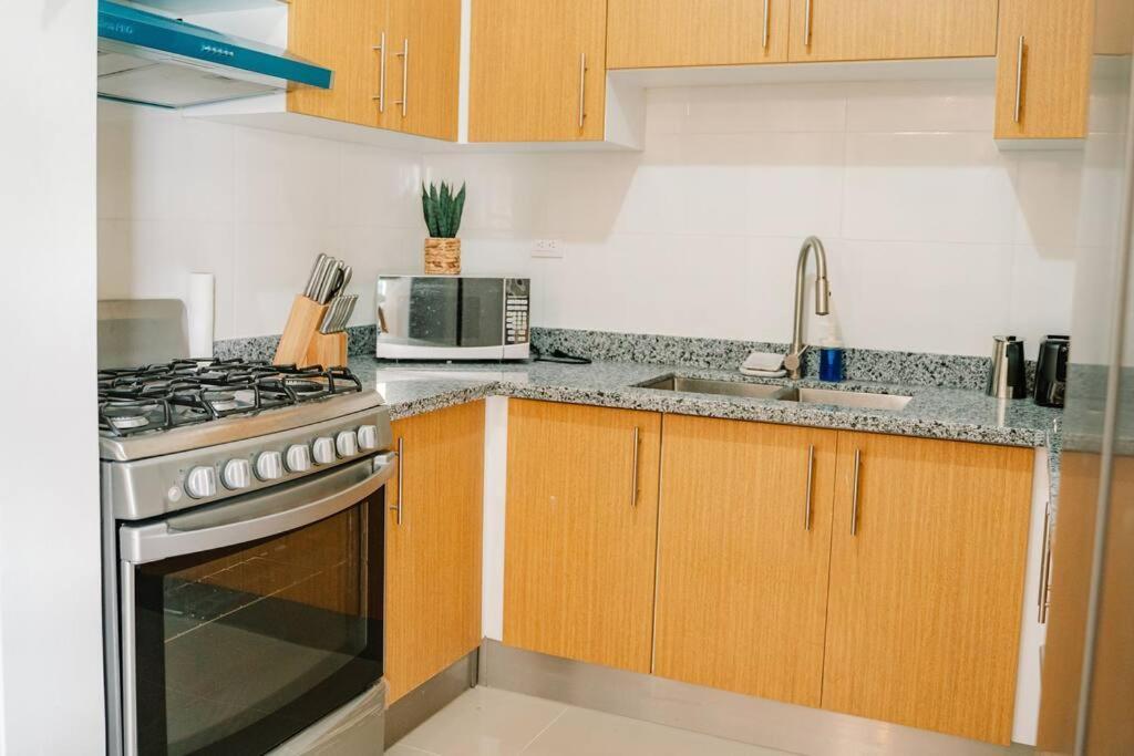 Apartment In Downtown Punta Cana