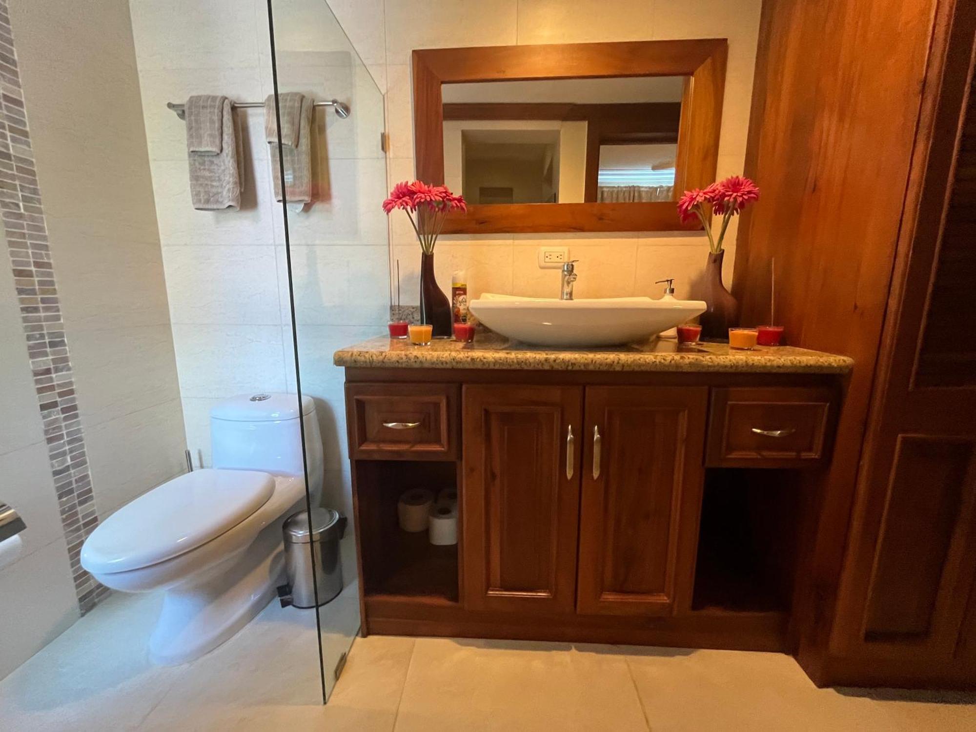 Apartment Luxury Penthouse With Pool, Bbq, Ac, Wi-fi, 5-min Walk To El Cortecito & Bavaro Beaches, Punta Cana